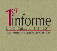 Informe de actividades 2024-2025