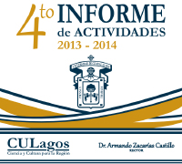 Informe de actividades 2024-2025