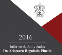 Informe de actividades 2024-2025