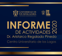 Informe de actividades 2024-2025