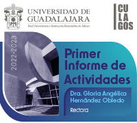 Informe de actividades 2024-2025