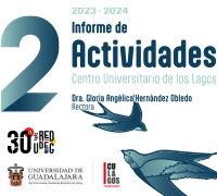 Informe de actividades 2024-2025
