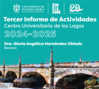 Informe de actividades 2024-2025