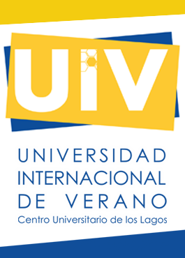 Universidad Internacional de Verano