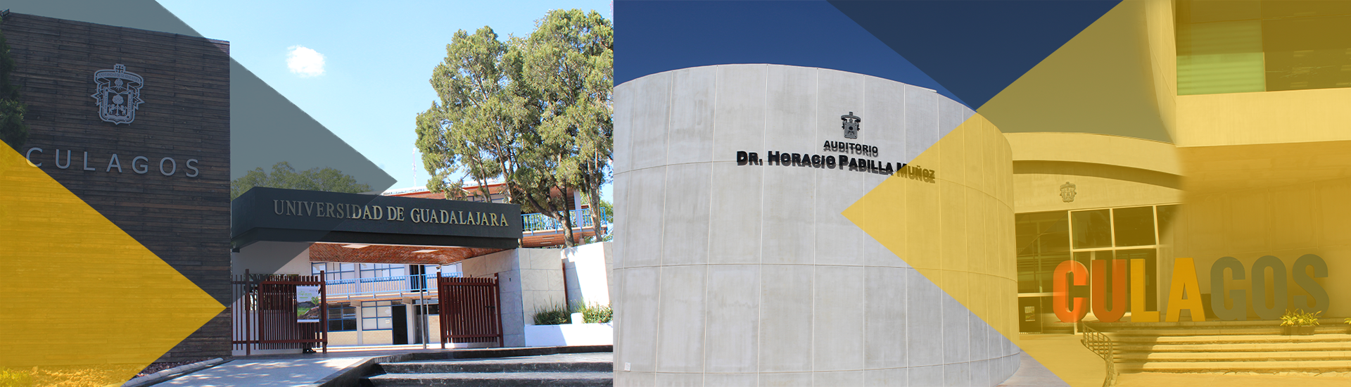 Nuevo Banner de Inicio