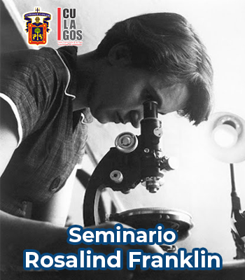 Seminario Rosalind Franklin: NANOPARTICULAS DE ÓXIDO DE MAGNESIO COMO AGENTE BACTERICIDA