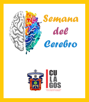 Semana del Cerebro 2020