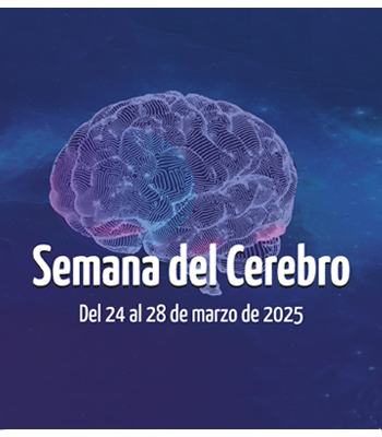 Semana del Cerebro 2025