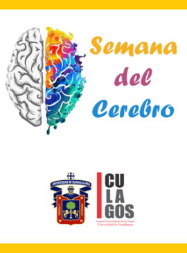 Semana del Cerebro 2020
