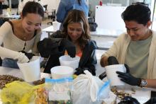 Talleres por la Sustentabilidad e Innovación