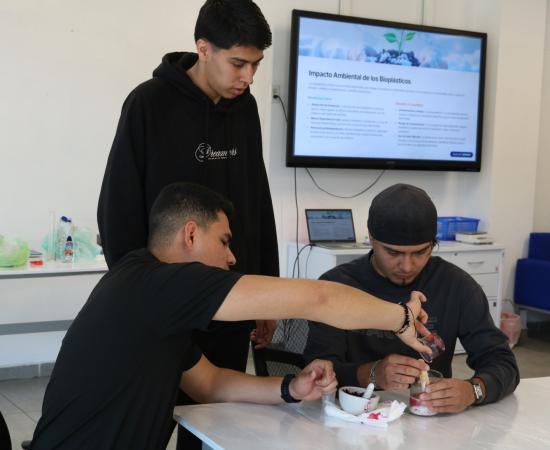 Talleres por la Sustentabilidad e Innovación