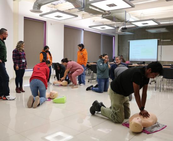 Personal de CULagos recibe formación en materia de cardioprotección