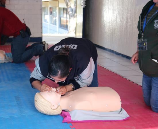 Personal de CULagos recibe formación en materia de cardioprotección